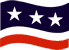 USA Friendly Flag